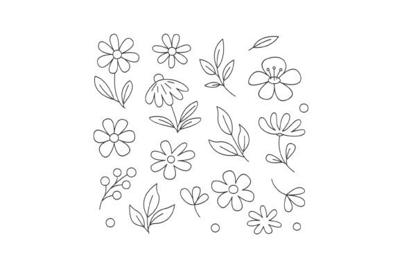 Hand-drawn Floral Elements and Leaves Review